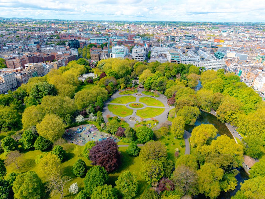 Parking in Dublin: A Survival Guide