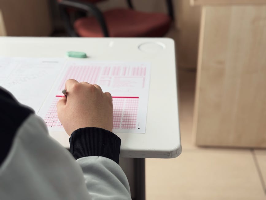 The Theory Test: How to Pass First Time