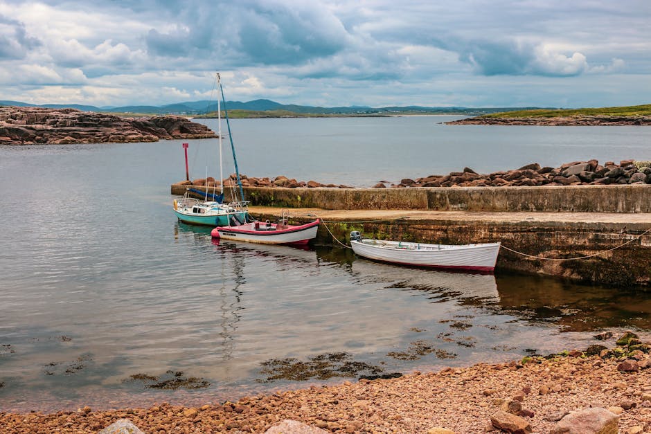 The West Coast Winter Run: A Road-Trip Guide to Ireland's Hidden Electric Charging Network